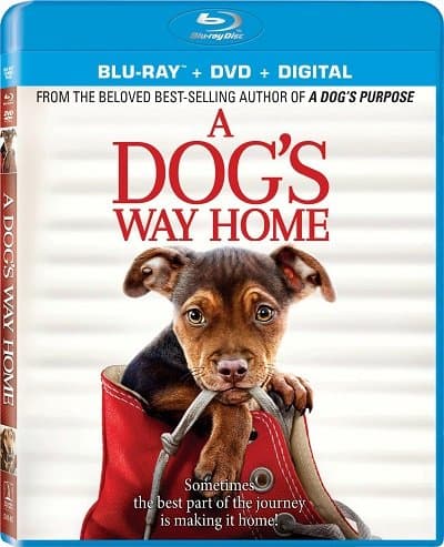 Путь домой / A Dog's Way Home (2019/BDRip) 720p / Лицензия