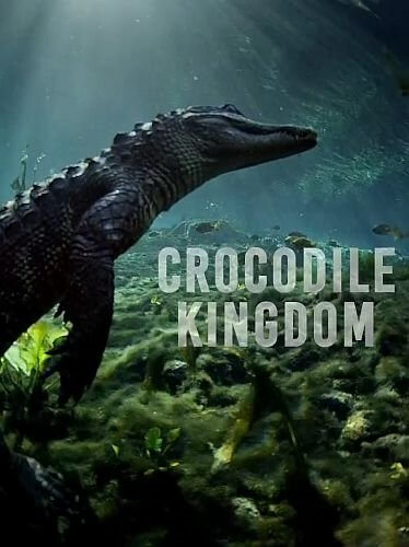 Царство крокодилов / Crocodile Kingdom (2020/HDTVRip) 720p
