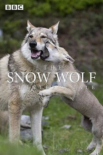BBC: Снежный волк. Зимняя сказка / The Snow Wolf: A Winter's Tale (2018/HDTV) 1080i