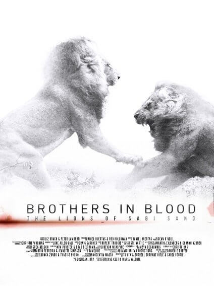 Discovery. Прирождённые короли / Brothers in Blood: The Lions of Sabi Sand (2015/WEB-DLRip) 1080p