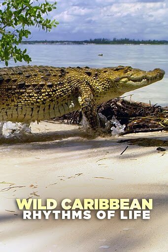 Дикая природа Карибских островов / Wild Caribbean – Rhythms of Life [3 серии из 3] / (2018/HDTV) 1080i